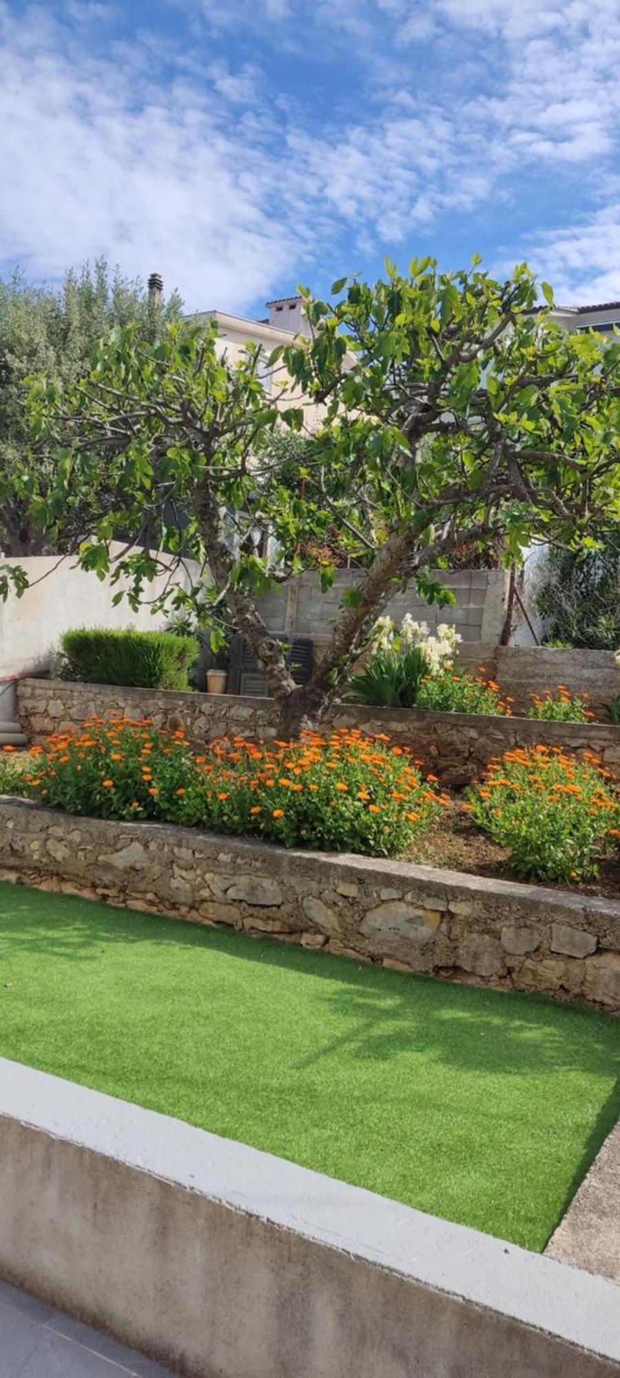 סבטי פטר Apartmani Mataija מראה חיצוני תמונה
